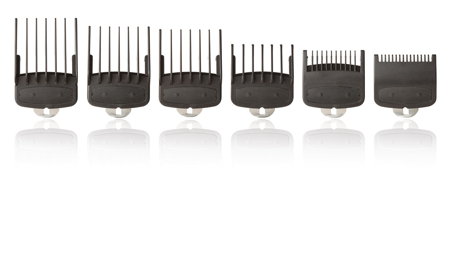 Set mit 6 hochwertigen Kämmen